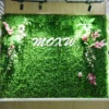 Plant Decoration Plant Wall Green Plant Wall Flat Wall Decoration Flower Green Decoration