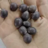 Red White Pink Lotus Seeds Nelumbo nucifera Home Incense DIY Raw Material