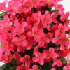 70cm Violet Artificial Flower Party wedding living room festival Decoration diy Wedding Wall Hanging Basket Orchid Flower