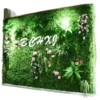 Plant Decoration Plant Wall Green Plant Wall Flat Wall Decoration Flower Green Decoration