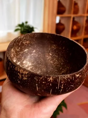 Natural Coconut Bowl Set Wooden Salad Ramen Bowl Coconut Wood Spoon Set Coco Smoothie Kitchen Tableware Coconut Bowl